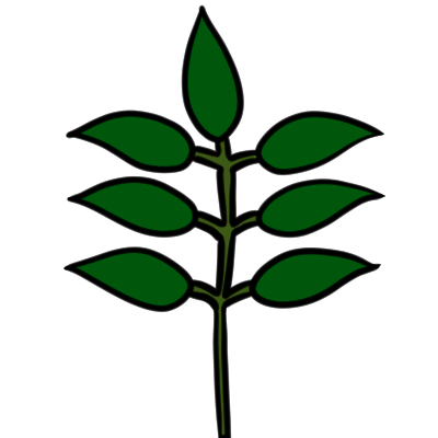 an odd pinnate compound leaf.